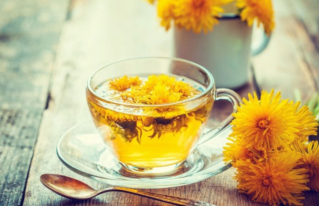 Consuming dandelion tea in the morning might aid in calorie reduction