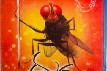 Mathew Thomas said there is no connection between SS Rajamouli’s Eega and his film Lovely: ‘The fly in that film had a glimpse of the hero’